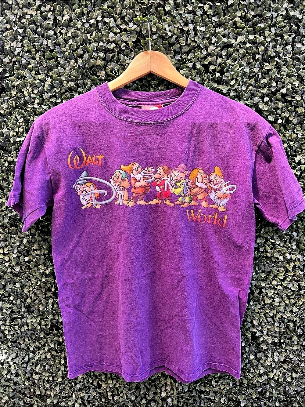 Snow White Disney World graphic tees